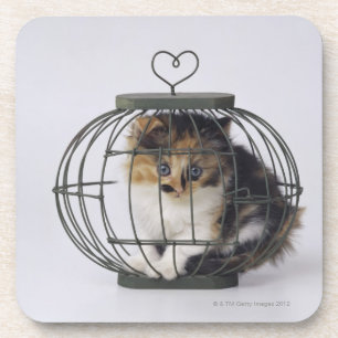 Cat in cage coaster