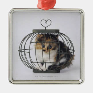 Cat in cage metal tree decoration