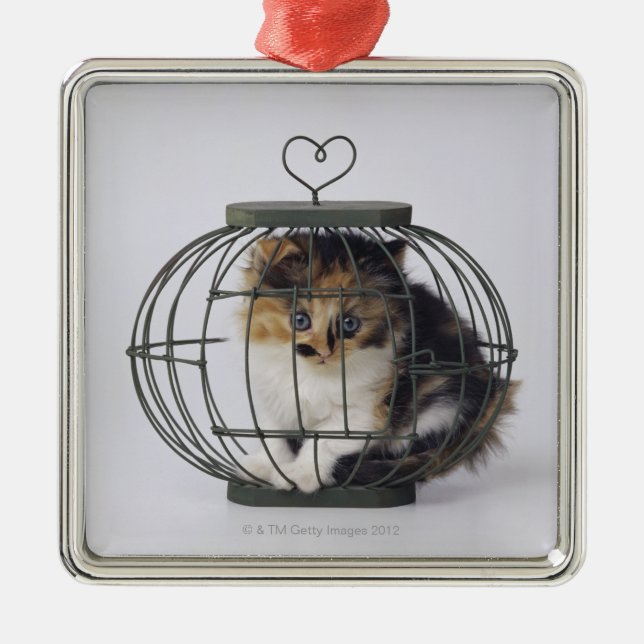 Cat in cage metal tree decoration (Front)