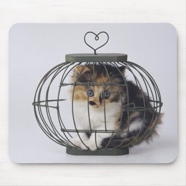 Cat in cage mouse pad (Front)