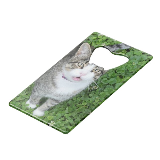 Cat in Clover (Front Angled)