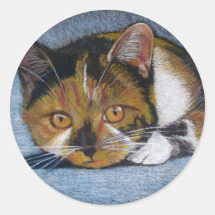 CAT IN COLOR PENCIL: STICKERS