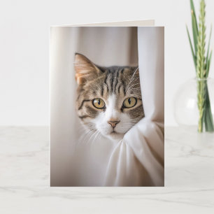 Cat In Curtain Birthday Humour Card