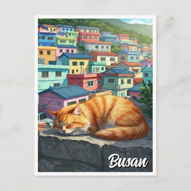 Cat in Gamcheon Cultural Village Busan Travel Postcard (Front)