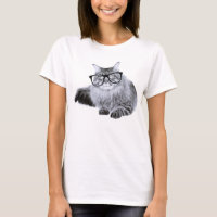 Cat in Glasses