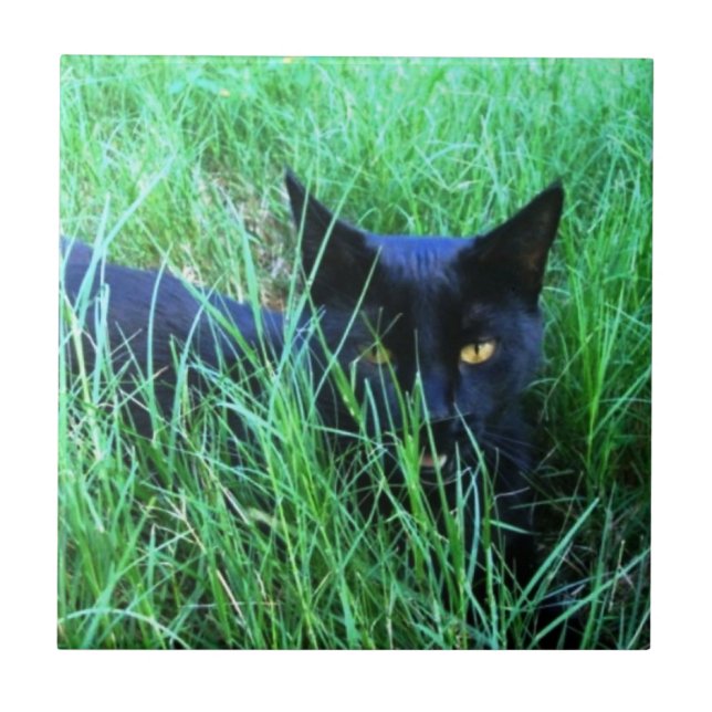 Cat in Grass Tile (Front)
