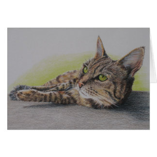 Cat in green card