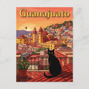 Cat in Guanajuato Mexico Postcard