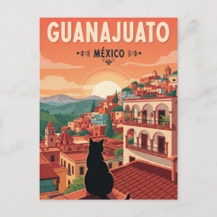 Cat in Guanajuato Mexico Postcard