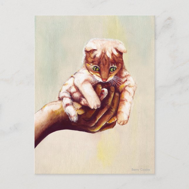 CAT IN HAND POSTCARD (Front)