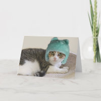 Cat in Hat Birthday by Focus for a Cause
