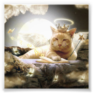 Cat in heaven Photo Prints. Print