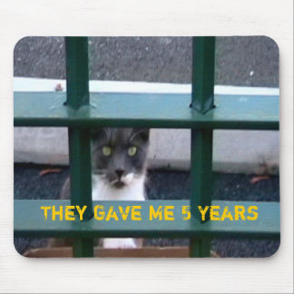 Cat In Jail Mousepad