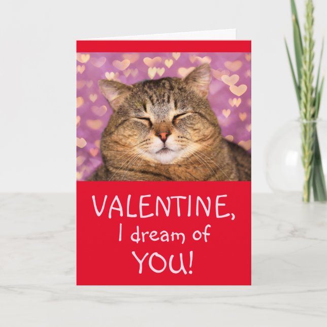 Cat In Love Forever Valentine's Day Holiday Card (Front)