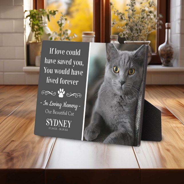 Cat In Loving Memory Photo Modern Memorial Plaque (Creator Uploaded)