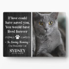 Cat In Loving Memory Photo Rustic Memorial