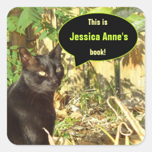 Cat in Morning Sun Custom Bookplates Square Sticker