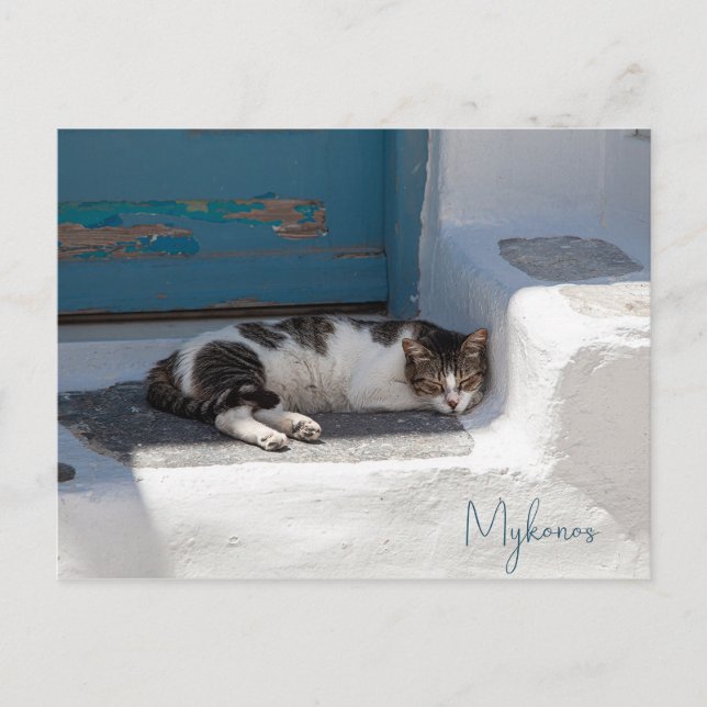 Cat in Mykonos Postcard (Front)