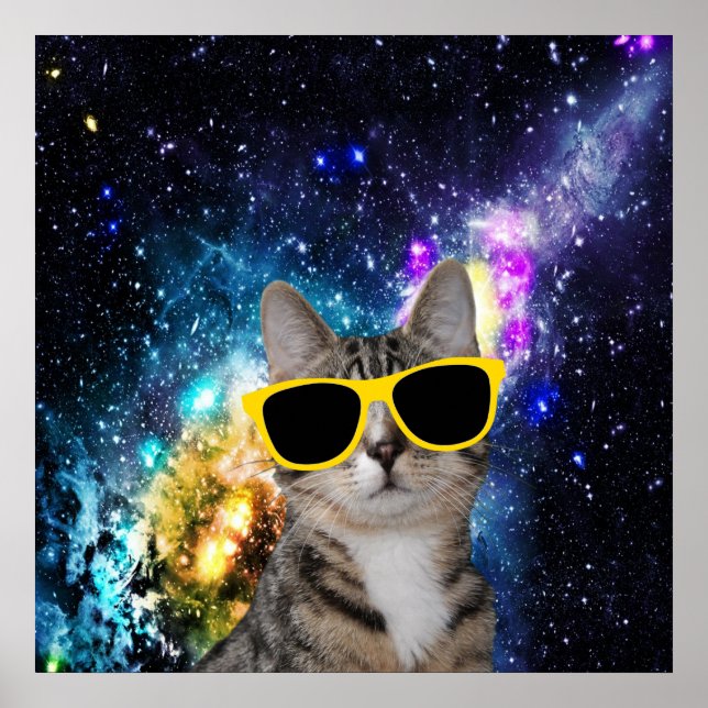 Cat in Outer Space Poster (Front)