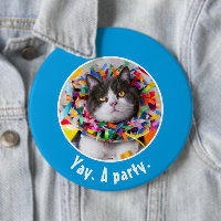 Cat In Party Cone