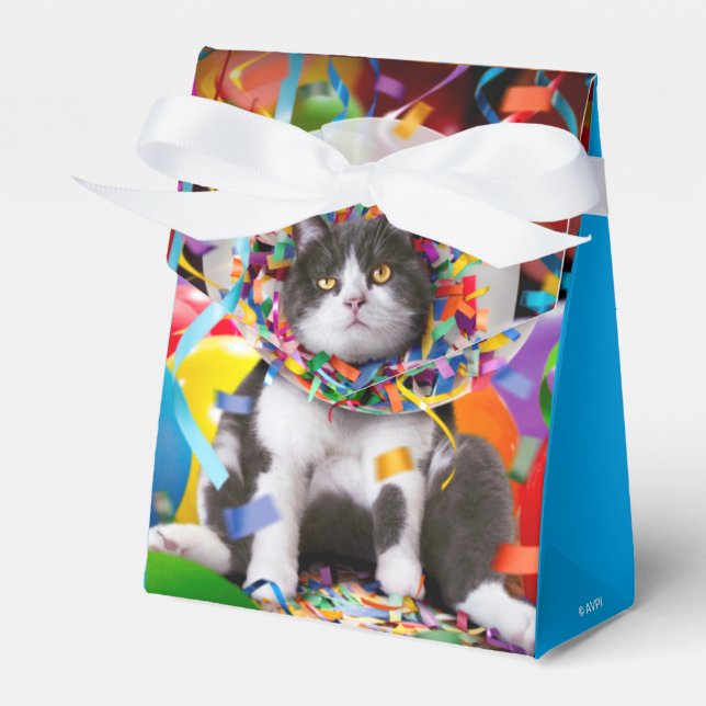 Cat In Party Cone Favour Box (Front Side)
