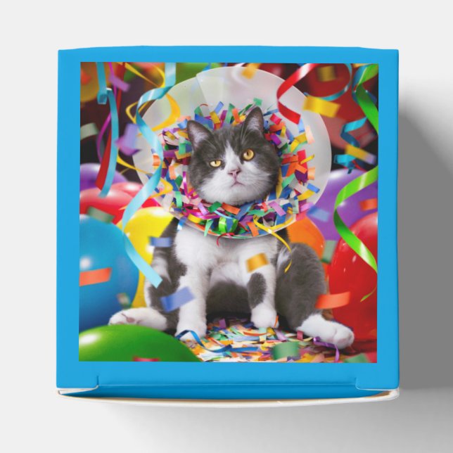 Cat In Party Cone Favour Box (Top)