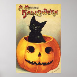 Cat In Pumpkin Poster
