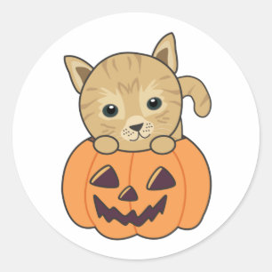 Cat In Pumpkin Sweet Cats Happy Halloween Classic  Round Sticker