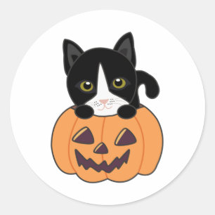 Cat In Pumpkin Sweet Cats Happy Halloween Classic Round Sticker