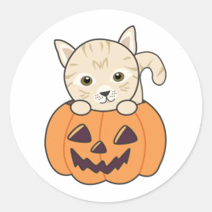 Cat In Pumpkin Sweet Cats Happy Halloween Classic  Round Sticker
