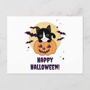 Cat In Pumpkin Sweet Cats Happy Halloween Postcard