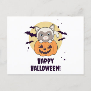 Cat In Pumpkin Sweet Cats Happy Halloween Postcard
