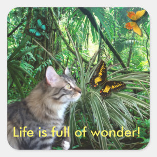 Cat in Rain Forest Stickers