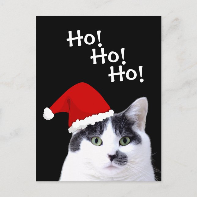 Cat in Santa Hat Holiday (Front)