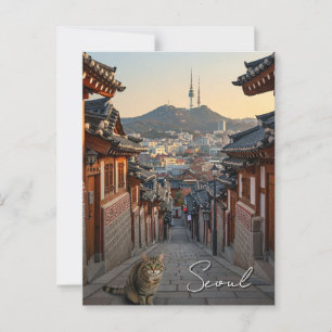 Cat in Seoul Bukchon South Korea Postcard