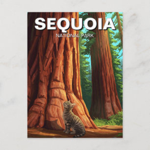 Cat in Sequoia National Park California Postcard