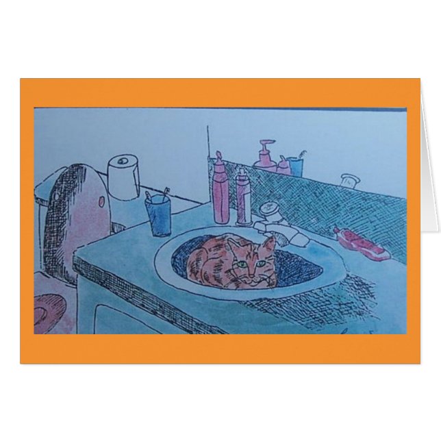 cat in sink (Front Horizontal)