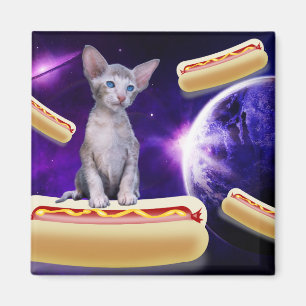 CAT IN SPACE WITH HOT DOGS MAGNETS