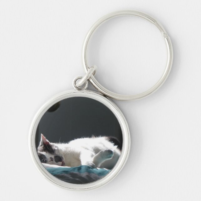 Cat in Sunspot Do Not Disturb Key Ring (Front)