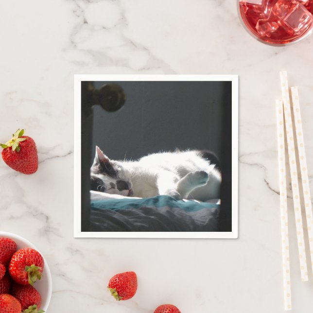 Cat in Sunspot Do Not Disturb Napkin (Insitu)
