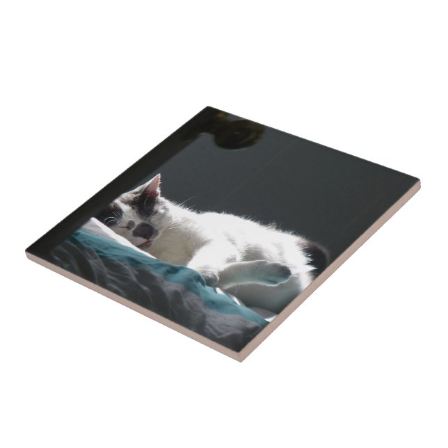 Cat in Sunspot Do Not Disturb Tile (Side)