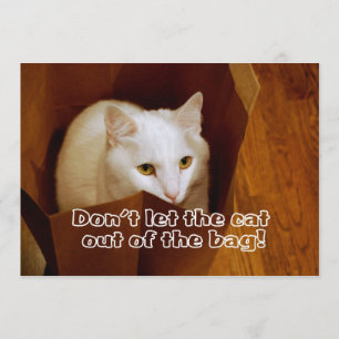 Cat in the Bag Surprise Birthday Party Invitation