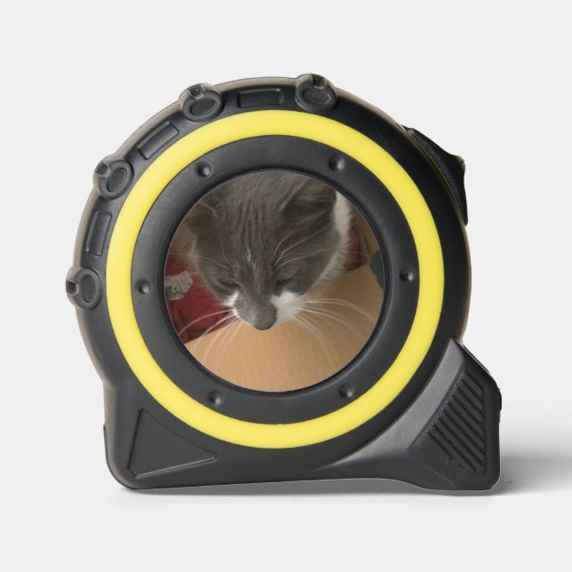 Cat in the Box 1 (Front)