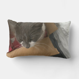 Cat in the Box Lumbar Cushion