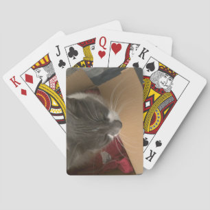 Cat in the Box Playing Cards