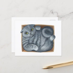 Cat in the Box Postcard