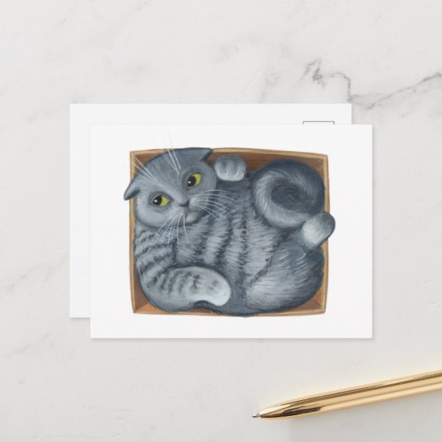 Cat in the Box Postcard (Front/Back In Situ)