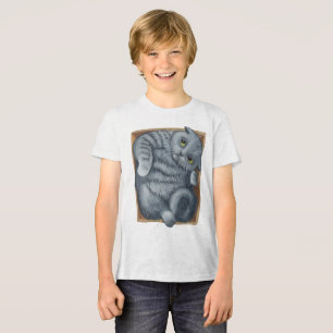 Cat in the Box Tri-Blend Shirt