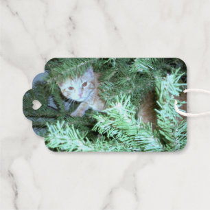 Cat in the Christmas Tree Foil Gift Tags