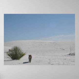 Cat in the Desert Poster